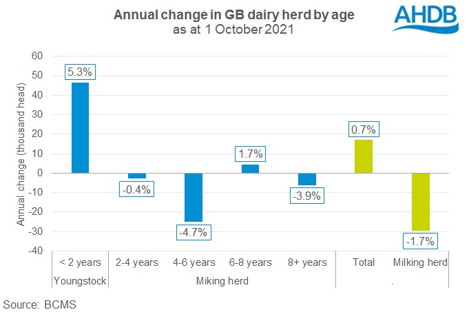 graph showing year on year change of the GB dairy herd by age group